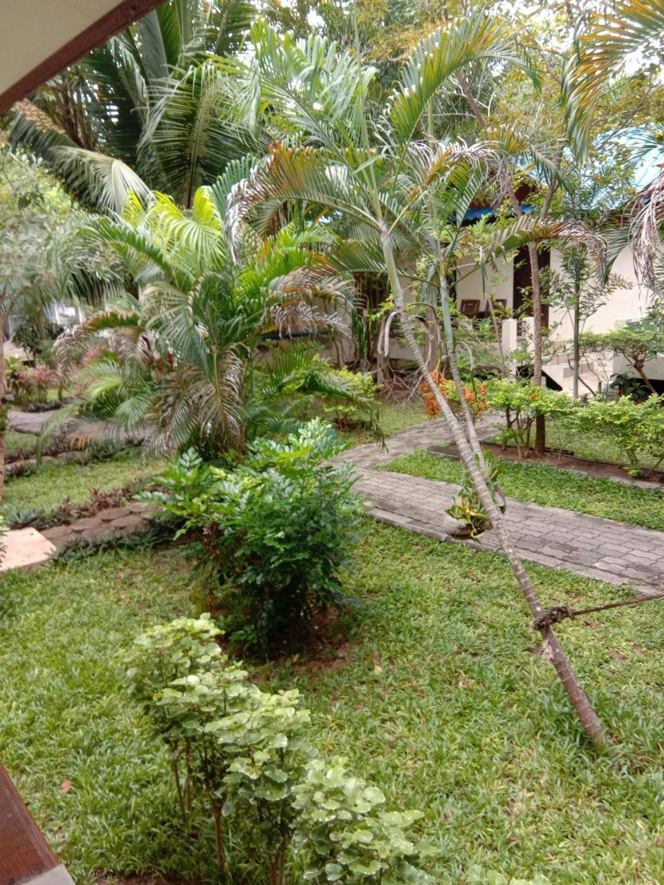 Prik Thai Resort Koh Tao Exteriör bild