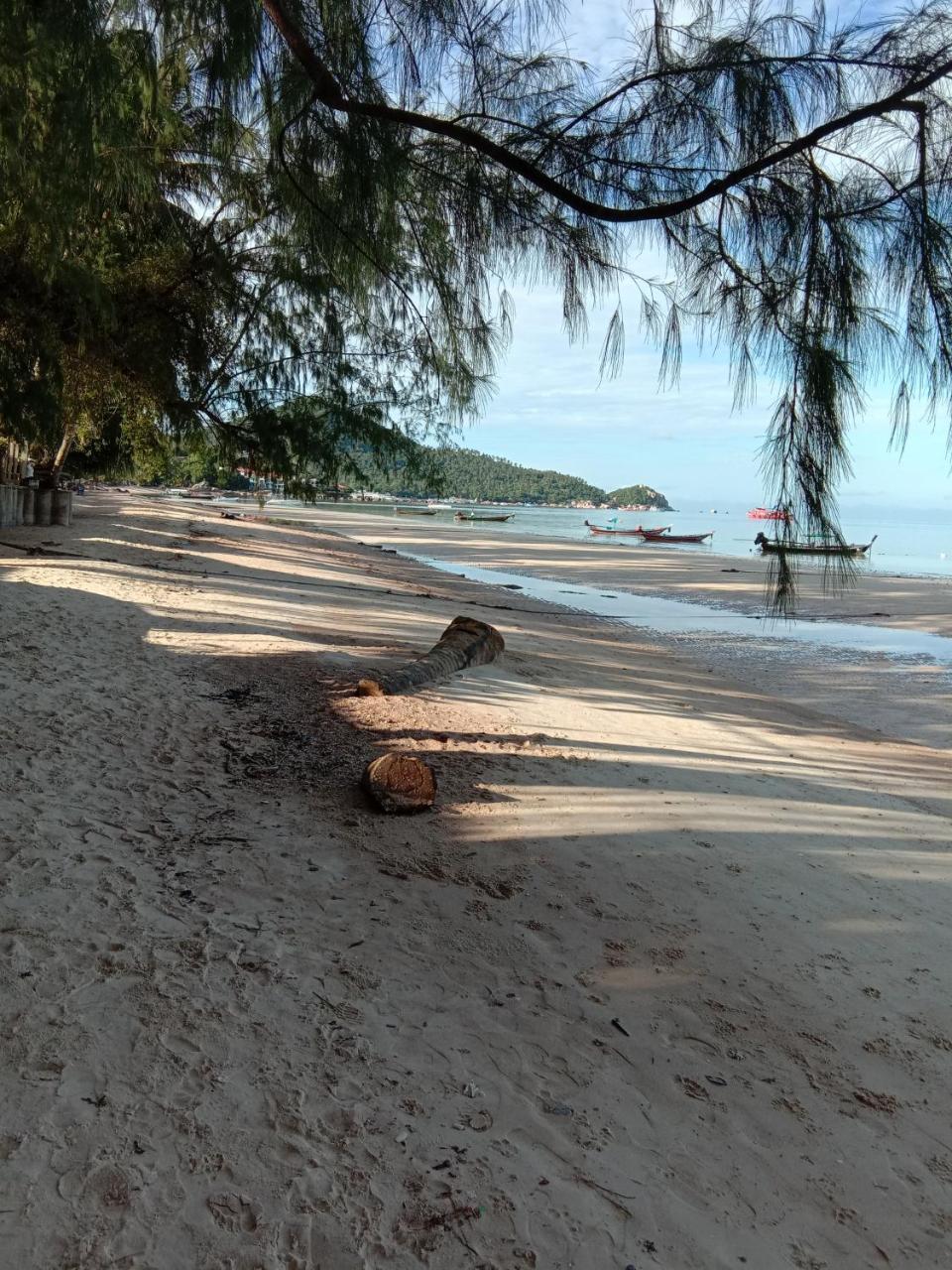 Prik Thai Resort Koh Tao Exteriör bild